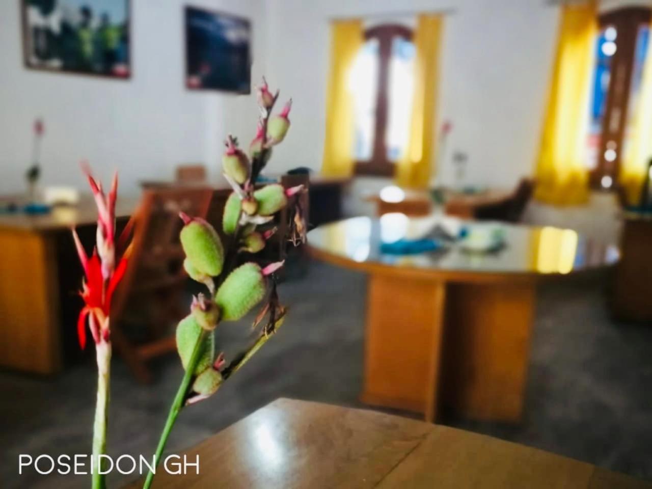 Poseidon Guest House อีกีโตส ภายนอก รูปภาพ